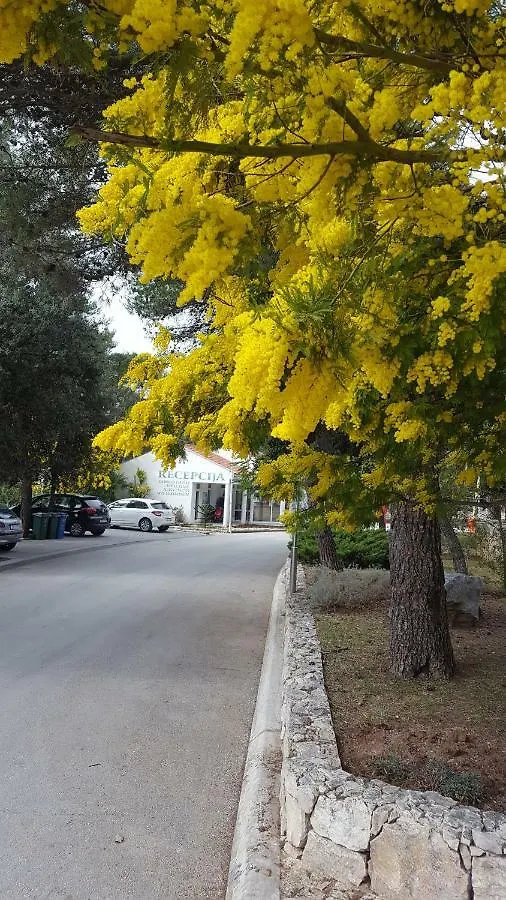 Glamping Beach Soline Biograd na Moru 4*,  Horvátország